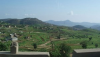 The Eritrean Dream is Near