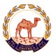 Statement by Osman Saleh Minister of Foreign Affairs at the EU-Africa Summit