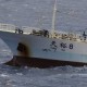 Cargo Ship sinks in the Read Sea
